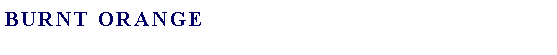 Text Box: Burnt Orange